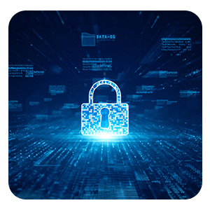 NETWORK INFRASTRUCTURE SECURITY