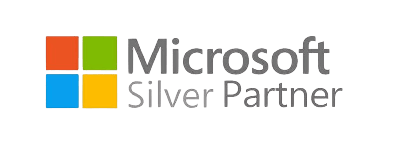 ms silver partner logo removebg preview